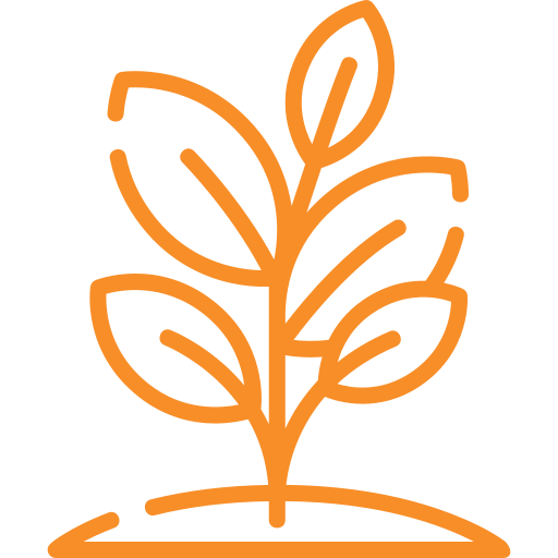 Other Plant Fibre
