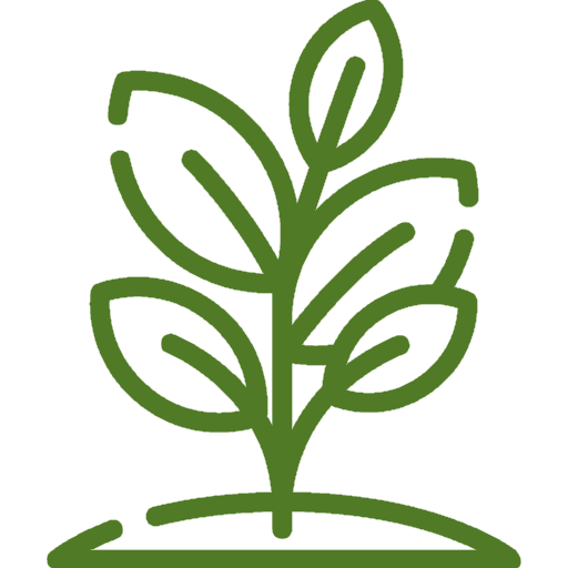 Plants